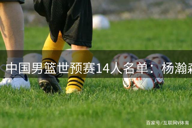 中国男篮世预赛14人名单：杨瀚森赵继伟领衔出征卡塔尔 崔永熙留京康复